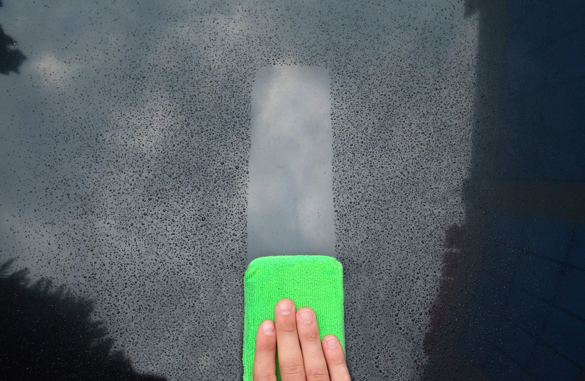 DB Summer-in-Law Application Sponge